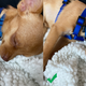 Deep Fusion off (left), Deep Fusion on (right)